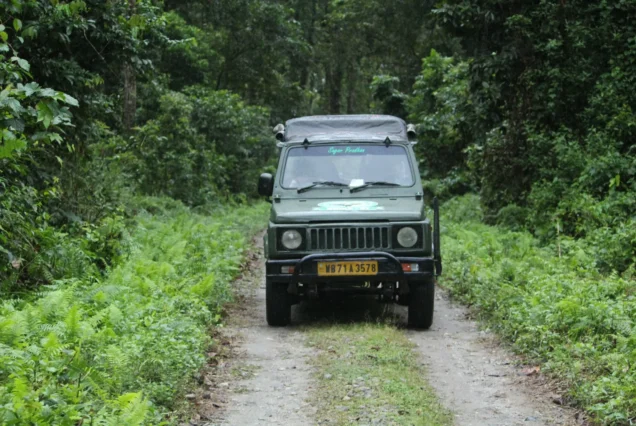 Dooars Tour Package from Kolkata | Bholanath Tour & Travels | Best Tour & Travel Company in Kolkata | For Booking Call Us : +918509308011