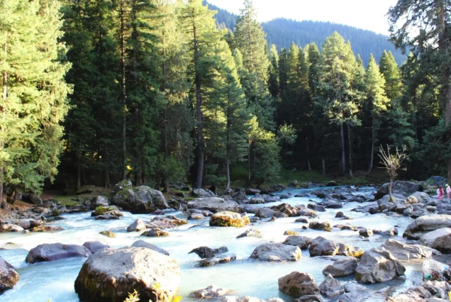 Kashmir Tour Package from Kolkata | For Booking Call Us : +918509308011